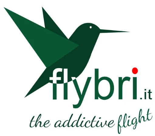 Logo Flybri